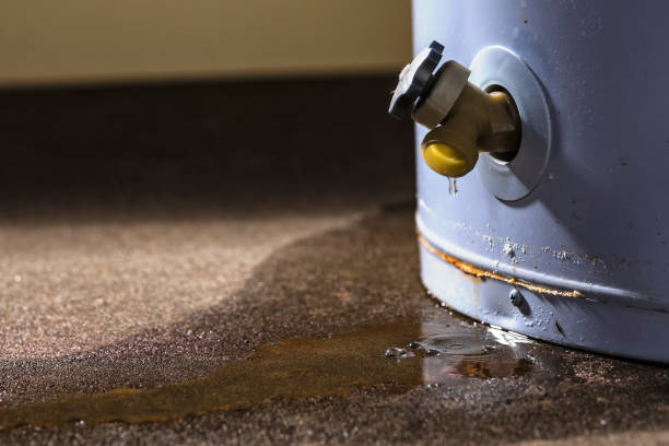 Best Water damage restoration near me  in Georgiana, AL