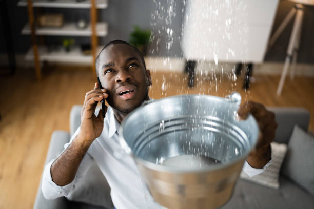 Best Water damage cleanup near me  in Georgiana, AL