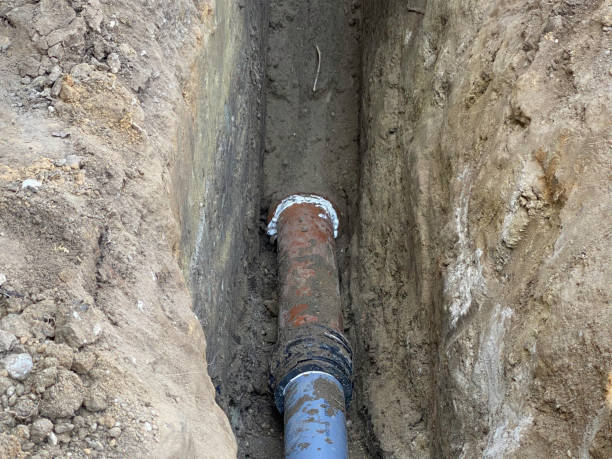 Best Flood restoration services  in Georgiana, AL