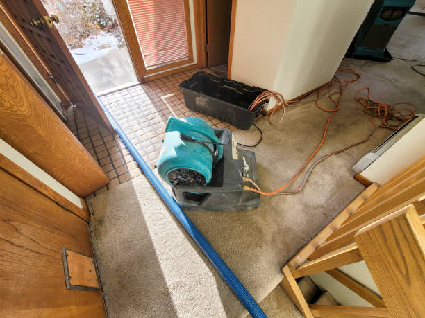 Best Local water damage restoration  in Georgiana, AL
