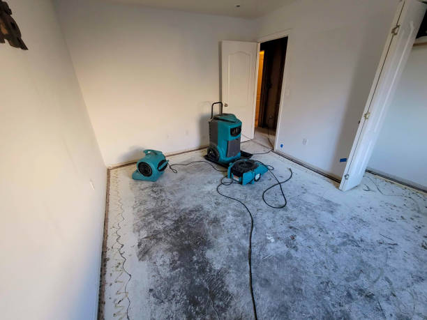 Best Flooded house restoration  in Georgiana, AL
