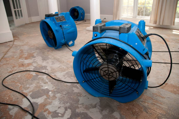 Best Flood damage cleanup  in Georgiana, AL