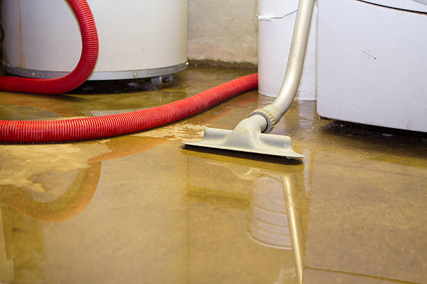 Best Commercial water damage restoration  in Georgiana, AL