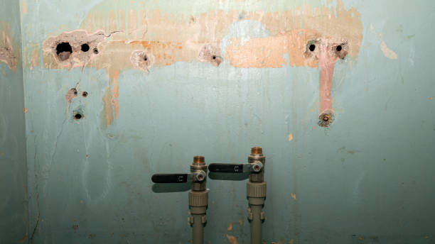 Best Professional water damage repair  in Georgiana, AL