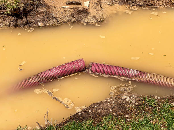 Best Sewage cleanup and water damage restoration  in Georgiana, AL