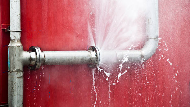 Best Fire Damage Restoration  in Georgiana, AL